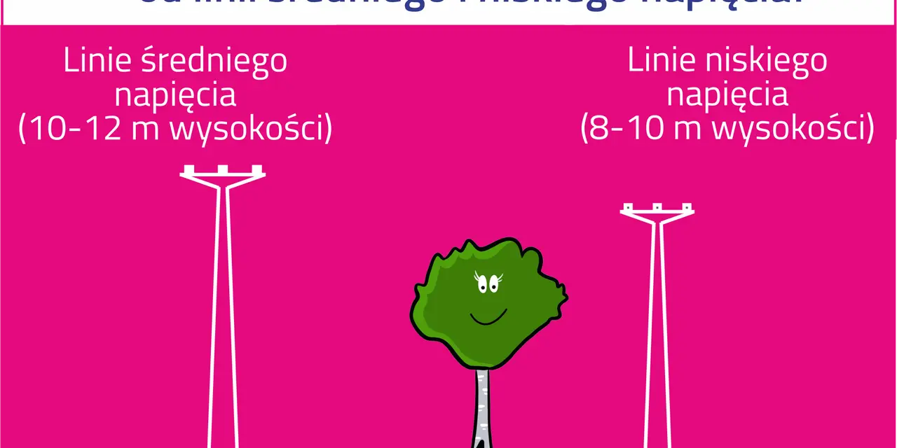 Ilustracja porównuje odległości sadzenia drzew od różnych rodzajów linii energetycznych: średniego napięcia (5 m) i niskiego napięcia (2 m).