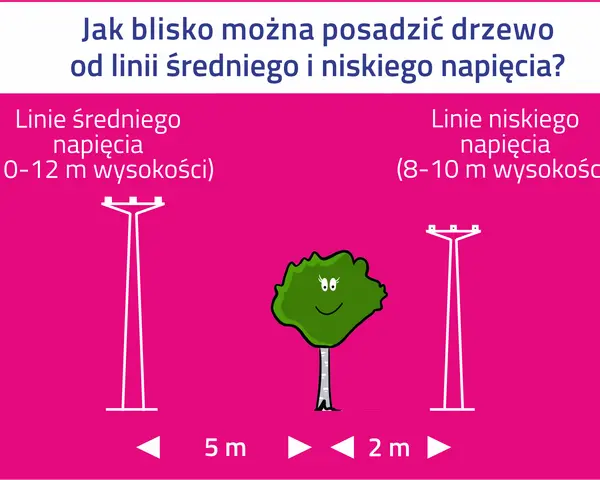 Ilustracja porównuje odległości sadzenia drzew od różnych rodzajów linii energetycznych: średniego napięcia (5 m) i niskiego napięcia (2 m).