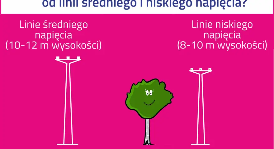 Ilustracja porównuje odległości sadzenia drzew od różnych rodzajów linii energetycznych: średniego napięcia (5 m) i niskiego napięcia (2 m).