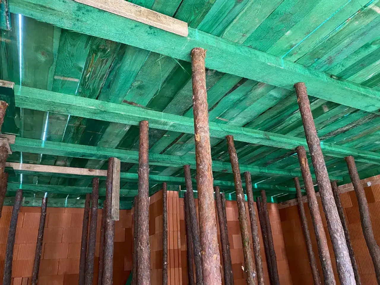 Szalowanie stropu z zielonych desek, podparte licznymi drewnianymi stemplami. Rozstaw stempli jest kluczowy dla stabilności konstrukcji.