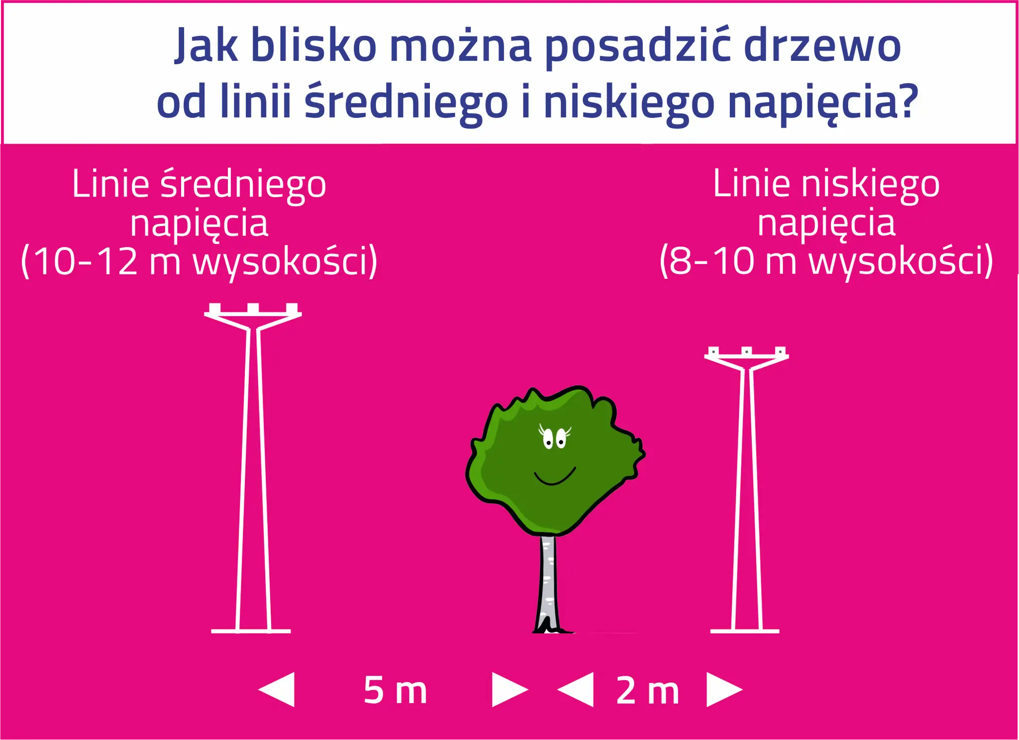 Ilustracja pokazuje, jak duża powinna być odległość budynku od linii średniego napięcia (5 m) i niskiego napięcia (2 m), aby bezpiecznie posadzić drzewo.